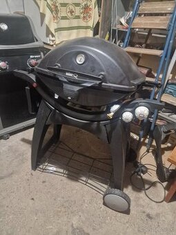 Weber  q3000