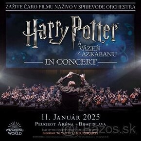 Harry Potter in concert