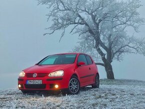 Volkswagen Golf V 1.9TDI