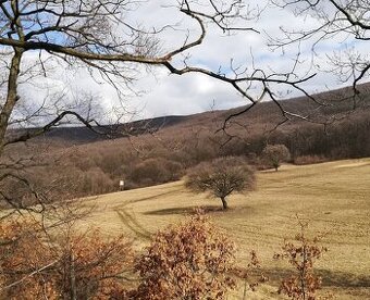 Vagrinec – 9.775 m2 ORNÁ PÔDA a LESY - Na predaj