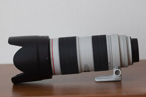 Canon EF 70-200mm f/2.8 L IS III USM