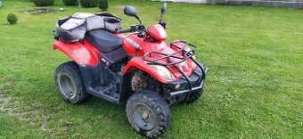 Arctic cat 250 - 1