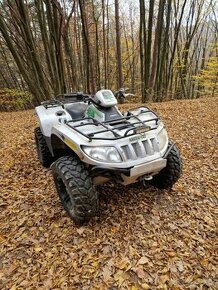 Arctic cat Thundercat 1000