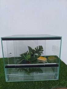 Terarium