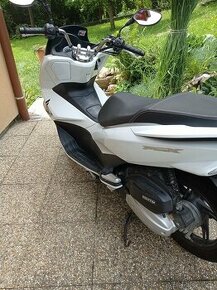 Honda pcx