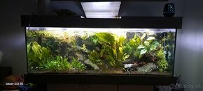 Akvarium 470l