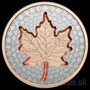 investičné strieborne mince - maple leaf super incuse