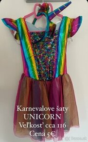 Karnevalove šaty - 1