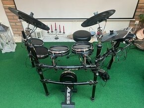 Alesis dm10 - 1