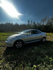 307 cc peugeot - 1