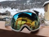 VonZipper FishBowl snowboardove okuliare