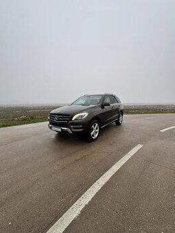 Mercedes-Benz 350D 4 matic - 1