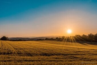 Vyšné Remety - 4.001 m2 ORNÁ PÔDA – PREDAJ - 1