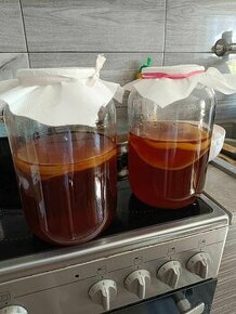 Kombucha