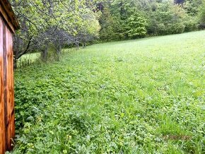 Na predaj veľký pozemok v Brvništi okr. Považská Bystrica