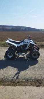 Yamaha Raptor 350 2007