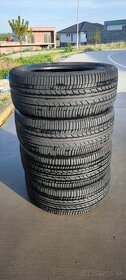 Bridgestone Ecopia 195/50 R16 letne