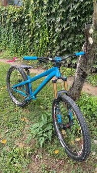 Specialized P3 custom built