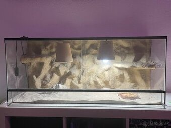 Terarium pre agamu - 1