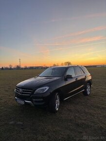 Mercedes benz ml