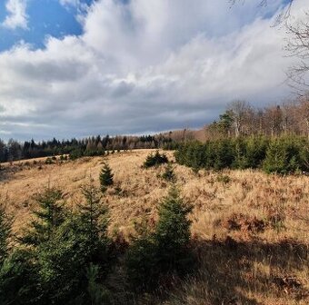 Malá Čausa – 709m2 ORNÁ PÔDA a LES - Na predaj