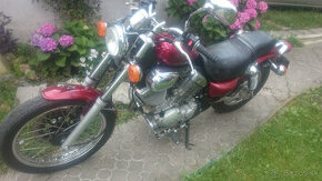 CHOPPER Yamaha Virago 535 2002 americké,výkonné 41000 km,186 - 1