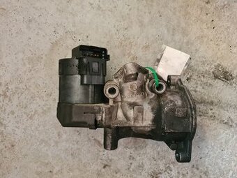 EGR Citroen C4 Picasso 2.0 Hdi 9656612380