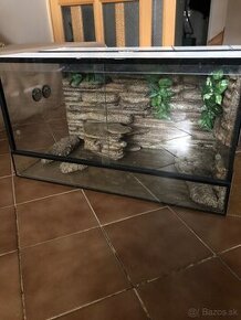 Terarium