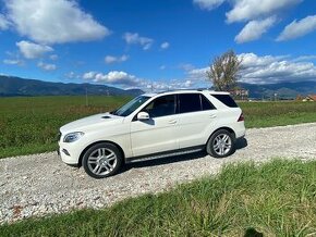 Mercedes ML 350 Bluetec - 1