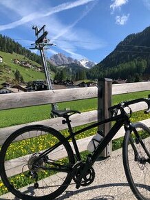 Trek Domane AL4