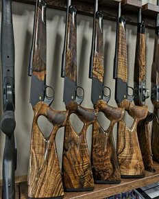 Blaser R8 Succes