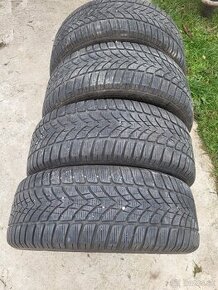 Zimné pneu Dunlop 205/55 R 16