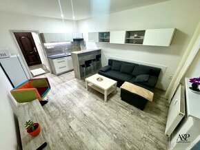 NA PRENÁJOM GARSÓNKA S LOGGIOU WIFI+TV, 26M2, HOLLÉHO UL., S