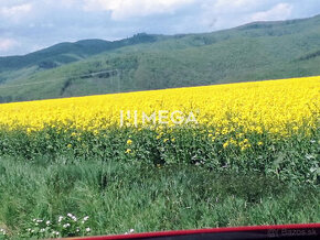 Na predaj - pozemky Kamenica nad Cirochou