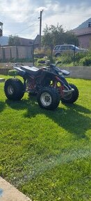 Yamaha Blaster YFS 200 2005