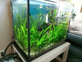 Akvarium 240L  80x50 - výška 60cm - 1