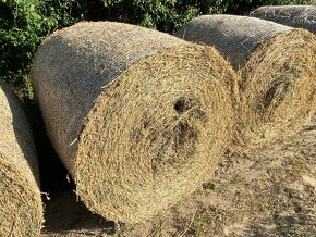 Slama a lucerka pre zvieratá - 1