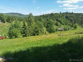 Predám Obrovský pozemok na Lazoch 11 200 m2 s potokom