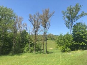 Pekný pozemok (3,2ha) na Hrušove, okres Veľký Krtíš.