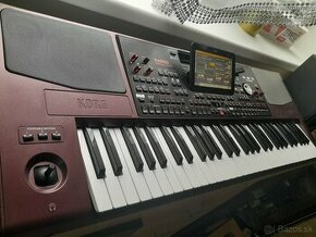 Korg pa1000  muzikant top - 1