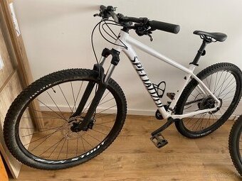 Specialized hardtail Rockhopper 29