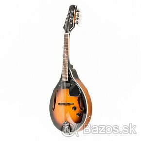 Predám elektro-akustickú mandolínu