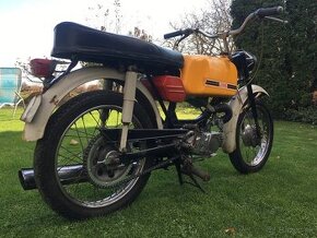 Jawa mustang