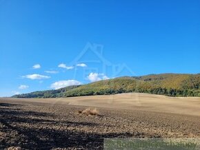 Väčší pozemok v prírodnom prostredí na okraji obce Zbora -