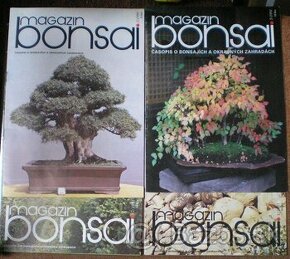 Magazin bonsai