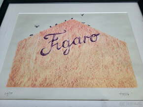 Figaro — Michal Tornyai (Cierne diery)