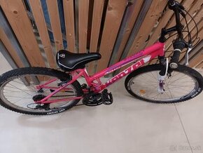 Bicykel Kenzel AVOX SF W pink white 2021