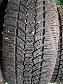 205/55r16 sava zimne