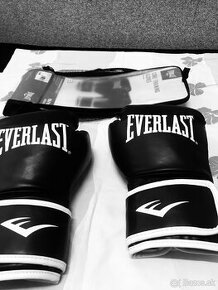 Everlast boxerské rukavice