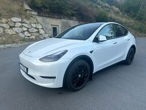 Tesla Model Y, Long Range AWD, DPH